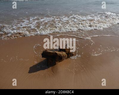 pezzo di drift-wood alla spiaggia, sabbia giallo-rossa, l'onda entrante dell'oceano indiano Foto Stock