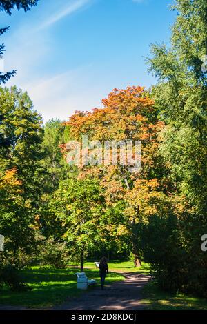 Parco verde, panca bianca all'angolo. Foto Stock