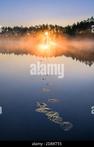 Paesaggio naturale panoramico con nebbia d'atmosfera e splendida alba Mattina presto estate in Finlandia lago Foto Stock