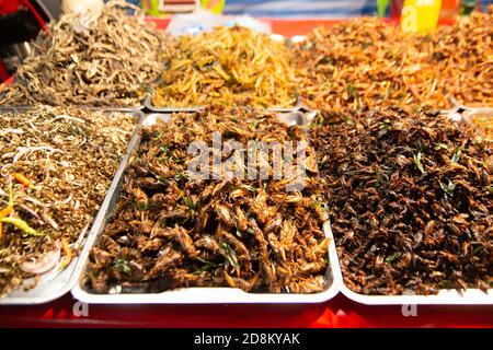 Vermi e insetti fritti piccanti in un mercato in Thailandia che è cibo tailandese. E ha un sacco di proteine naturali. Foto Stock