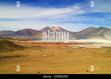 Vista panoramica di Salar de talar, i laghi salati dell'altopiano nella Riserva Nazionale di Los Flamencos, Antofagasta Regione del Cile, Sud America Foto Stock