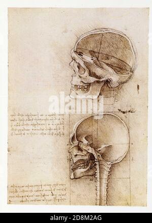 Leonardo da Vinci. Due viste del cranio. 1489. Penna e inchiostro su gesso nero Foto Stock