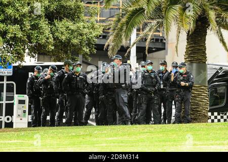 Melbourne, Australia 31 ottobre 2020, la polizia di risposta all'ordine pubblico marcia in formazione nei Treasury Gardens in vigore per interrompere una protesta anti-governo che si prevede per sabato mattina. Credit: Michael Currie/Alamy Live News Foto Stock