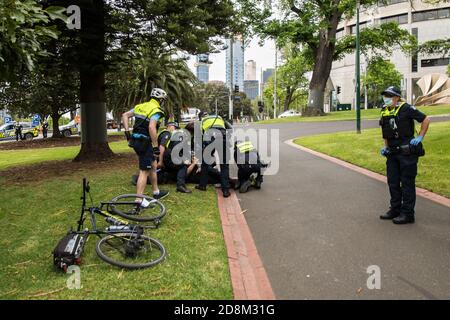 Melbourne, Australia 31 Ott 2020, un gruppo di poliziotti che lottano con un uomo a terra mentre tentano di ammancarlo per essersi rifiutati di seguire le indicazioni della polizia per non protestare e lasciare il parco. Credit: Michael Currie/Alamy Live News Foto Stock