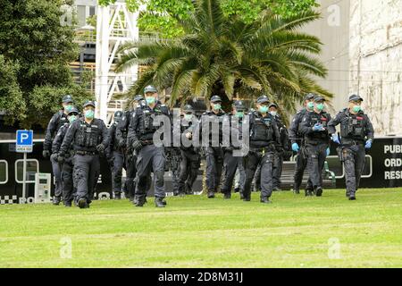 Melbourne, Australia 31 ottobre 2020, la polizia di risposta all'ordine pubblico marcia in formazione nei Treasury Gardens in vigore per interrompere una protesta anti-governo che si prevede per sabato mattina. Credit: Michael Currie/Alamy Live News Foto Stock