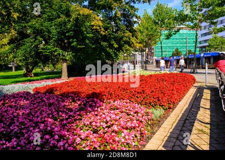 Fiori nel giardino di Chemnitz nel 10.09.2011. Fiori colorati e verde erba parco a Chemnitz, Germania orientale Foto Stock