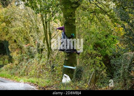 Longridge, Preston, Lancashire, Regno Unito 31 ottobre 2020 non bere e volare in mostra su un albero lungo la strada vicino a Longridge, Preston, Lancashire, UK Credit John Eveson/Alamy Live News. Foto Stock