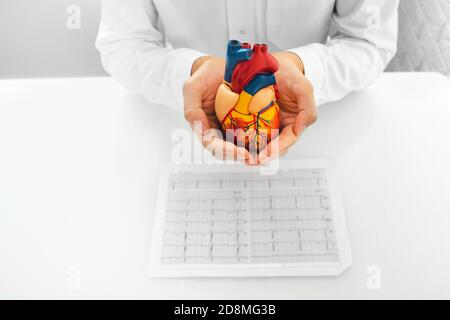 Cardiologo che tiene in mano il modello di cuore e i risultati di un paziente con elettrocardiogramma. supporto medico per la salute cardiaca umana Foto Stock