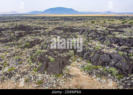 Flusso di lava al Valley of Fires state Park a Carizozo, New Mexico Foto Stock