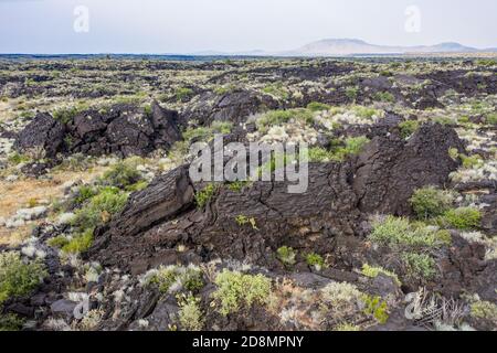 Flusso di lava al Valley of Fires state Park a Carizozo, New Mexico Foto Stock