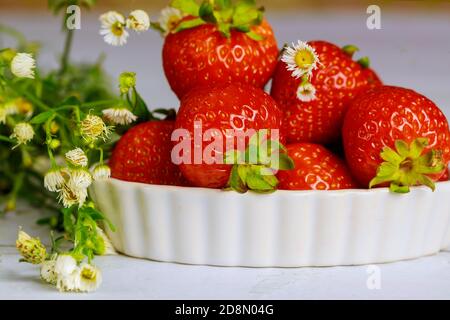 Fragole fresche con fiori su piatto su fondo bianco. Foto Stock