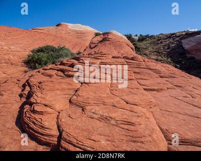 Cross-bedded arenaria, Flusso di Lava Trail, Snow Canyon State Park, Saint George, Utah. Foto Stock