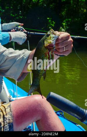 Pesca in barca da rafting, armamenti che tengono e espongono i pesci Foto Stock