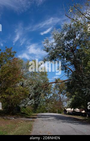 Greenville County, South Carolina, Stati Uniti. 31 Ott 2020. Greenville County, South Carolina, Stati Uniti. Milioni di persone hanno perso il potere dopo l'uragano Zeta. La Upstate SC ha avuto una particolare devastazione a causa del numero insolito di alberi caduti, causando interruzioni di corrente ancora durate giorni dopo. I lavoratori sono stati portati dal Midwest e dalla Florida per aiutare a riparare i servizi devastati, mentre i proprietari di case sono stati lasciati per affrontare le riparazioni a casa e ripulire la sua scia. Immagini di luce del castello / Alamy Live News. Foto Stock