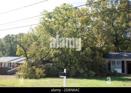 Greenville County, South Carolina, Stati Uniti. 31 Ott 2020. Greenville County, South Carolina, Stati Uniti. Milioni di persone hanno perso il potere dopo l'uragano Zeta. La Upstate SC ha avuto una particolare devastazione a causa del numero insolito di alberi caduti, causando interruzioni di corrente ancora durate giorni dopo. I lavoratori sono stati portati dal Midwest e dalla Florida per aiutare a riparare i servizi devastati, mentre i proprietari di case sono stati lasciati per affrontare le riparazioni a casa e ripulire la sua scia. Immagini di luce del castello / Alamy Live News. Foto Stock