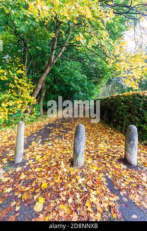 Scena autunnale con posti e sentiero, Ellesmere Park, Eccles, Salford, Greater Manchester, UK Foto Stock