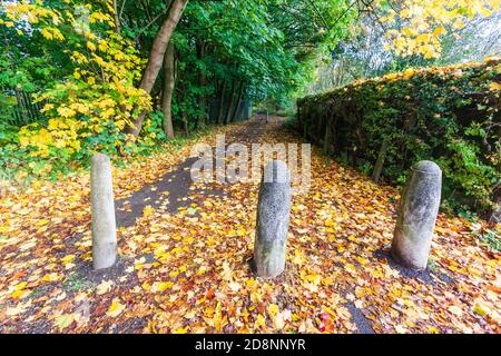 Scena autunnale con posti e sentiero, Ellesmere Park, Eccles, Salford, Greater Manchester, UK Foto Stock