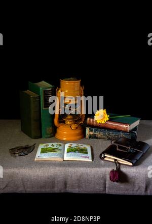 Daisy fiore e libri sull'identificazione dei fiori su una scrivania decorata con libri di botanica d'epoca - antico botanico amatoriale o Gardner concetto, con un Ye Foto Stock