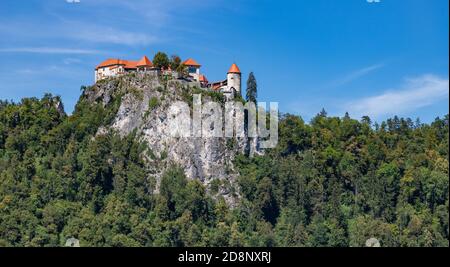 Una foto del Castello di Bled e dei boschi circostanti. Foto Stock