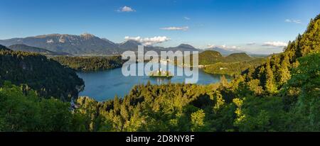 Una foto panoramica del lago Bled e del paesaggio circostante, con l'isola del lago Bled al centro, vista da un punto panoramico. Foto Stock