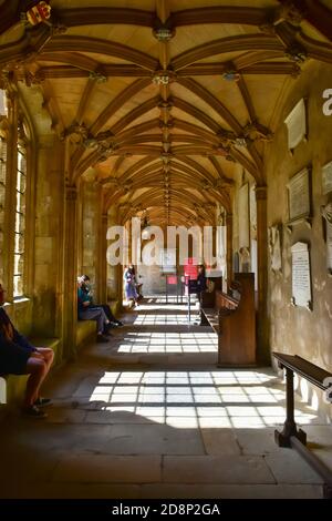 Chiostri della cattedrale di Cristo a Oxford, Inghilterra Foto Stock