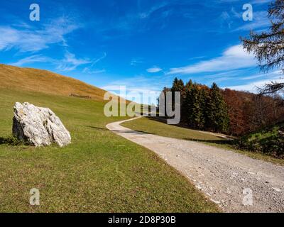 Strada di campagna nelle alpi italiane Foto Stock