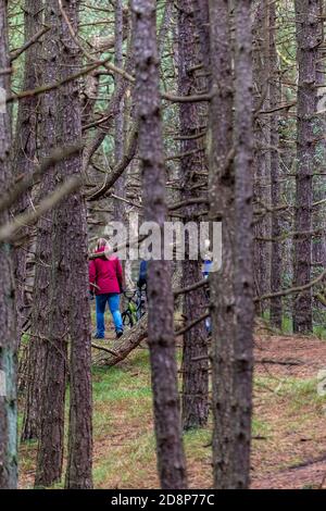 persona perduta nella foresta o nel bosco che cammina tra gli alberi nella campagna del norfolk Foto Stock