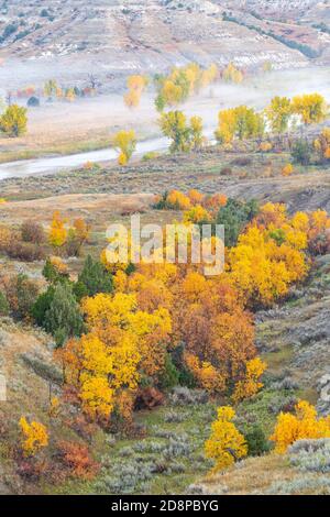 Nebbia sulla valle del fiume Missouri, alberi di cenere d'autunno, Theodore Roosevelt NP, N Dakota, USA, di Dominique Braud/Dembinsky Photo Assoc Foto Stock