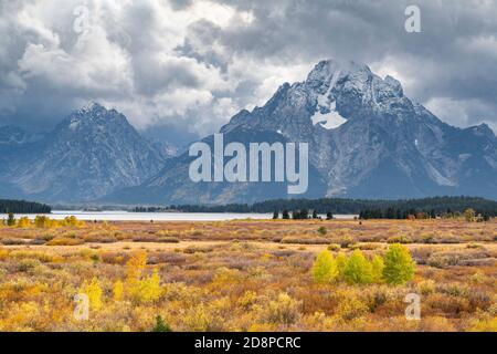 Grand Teton National Park, Willow Flats & Mt Moran, Autunno, Wyoming, USA, di Dominique Braud/Dembinsky Photo Assoc Foto Stock