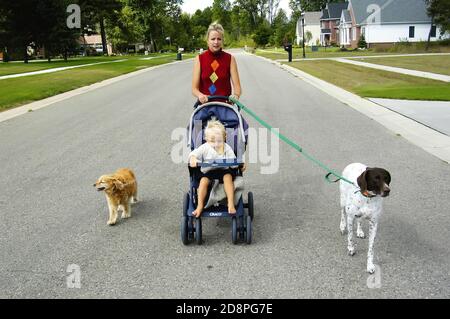 Madre con 2 anni figlio prende una passeggiata con loro 2 cani Foto Stock