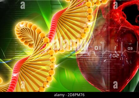 DNA con cuore nel design digitale Foto Stock