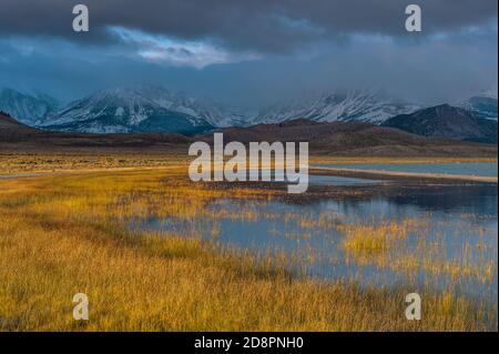 In prossimità di Storm, Wetlands, Mount Gibbs, Mount Dana, Mono Basin National Forest Scenic Area, Eastern Sierra, Inyo National Forest, California Foto Stock