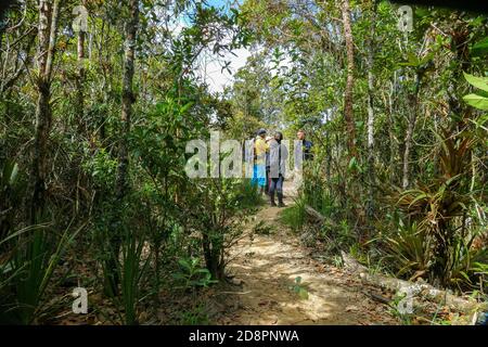 BELmira, COLOMBIA - Jan 20, 2020: Belmira, Antioquia / Colombia - gennaio 19 2020: Gruppo di turisti nel mezzo della strada escursionistica a Paramo in Bel Foto Stock