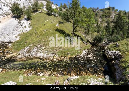 Le fonti della Saine dal Giura in Francia Foto Stock