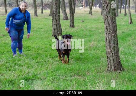 Donna adulta di grande statura gioca sul prato verde nel parco con Rottweiler. Allegra passeggiata di animali domestici nel parco. Animali domestici. Foto Stock