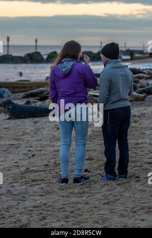 un uomo e una donna o una coppia in piedi sulla spiaggia al tramonto horsey sulla costa nord del norfolk guardando le foche comuni grigie quando arrivano sulla spiaggia. Foto Stock