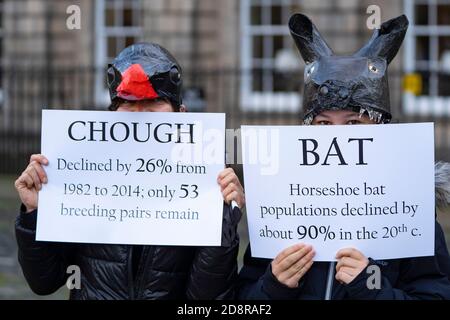 Extinction Rebellion dimostrazione che mette in evidenza il declino delle specie di fauna selvatica a Edimburgo, Scozia, Regno Unito Foto Stock