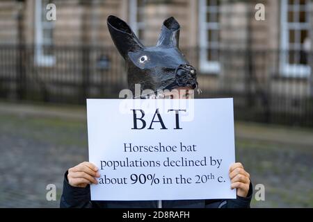 Extinction Rebellion dimostrazione che mette in evidenza il declino delle specie di fauna selvatica a Edimburgo, Scozia, Regno Unito Foto Stock