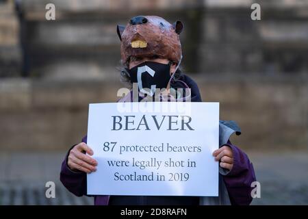 Extinction Rebellion dimostrazione che mette in evidenza il declino delle specie di fauna selvatica a Edimburgo, Scozia, Regno Unito Foto Stock