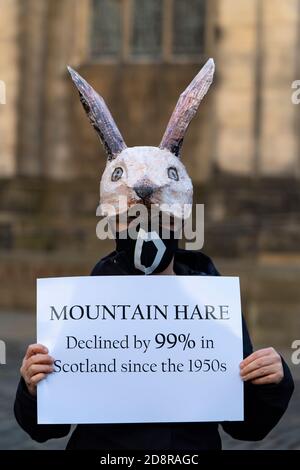 Extinction Rebellion dimostrazione che mette in evidenza il declino delle specie di fauna selvatica a Edimburgo, Scozia, Regno Unito Foto Stock