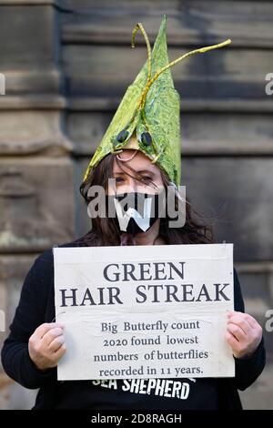 Extinction Rebellion dimostrazione che mette in evidenza il declino delle specie di fauna selvatica a Edimburgo, Scozia, Regno Unito Foto Stock