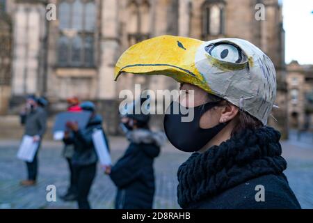 Extinction Rebellion dimostrazione che mette in evidenza il declino delle specie di fauna selvatica a Edimburgo, Scozia, Regno Unito Foto Stock