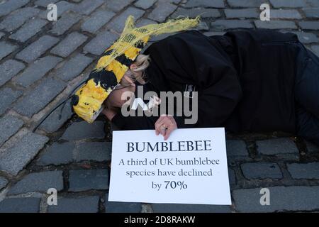 Extinction Rebellion dimostrazione che mette in evidenza il declino delle specie di fauna selvatica a Edimburgo, Scozia, Regno Unito Foto Stock