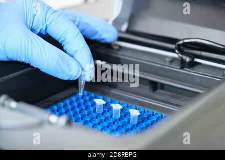 Un ricercatore che mette le provette PCR sul termociclatore per l'amplificazione del DNA. Test PCR del coronavirus. Foto Stock