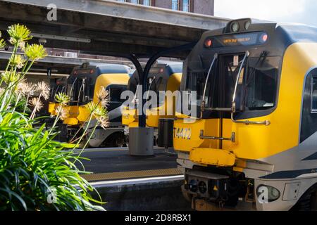 Treni elettrici a più unità alla stazione ferroviaria di Wellington, Isola del Nord, Nuova Zelanda Foto Stock