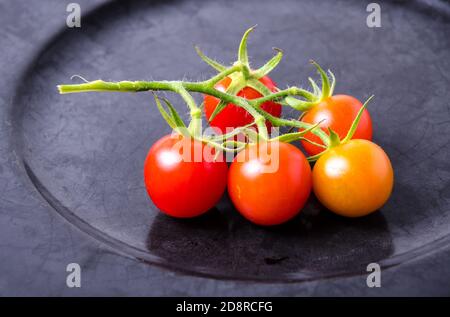 Ancora vita di pomodori ciliegini su un piatto, pomodori ciliegini, Solanum lycopersicum var. Cerasiformi, coltivati in casa Foto Stock