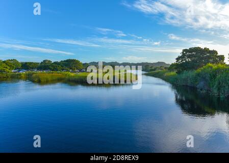 Touwswriver nel Parco Nazionale Wilderness, Garden Route, Capo Occidentale, Sud Africa Foto Stock