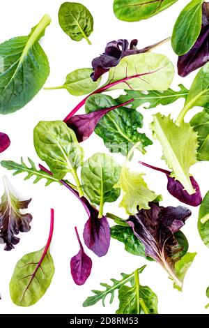 Foglia di insalata volante modello. Foglie fresche isolate su sfondo bianco. Layout creativo con rucola, lattuga, bietole, spinaci. Disposizione piatta Foto Stock
