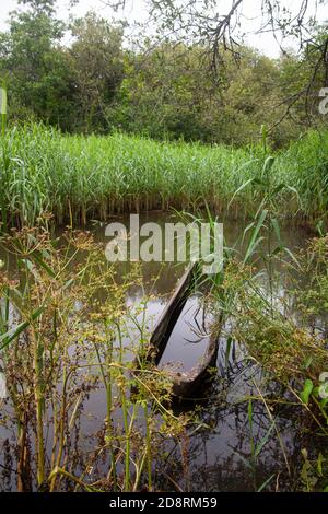 Una vecchia canoa sommersa nella palude Foto Stock