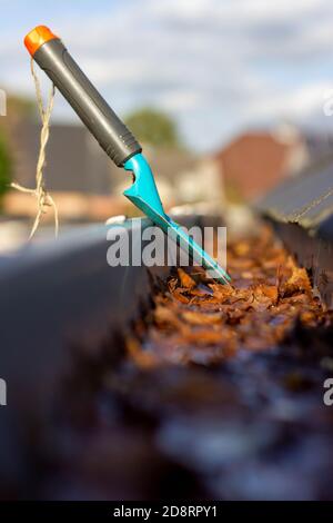 Un ritratto di una pala da giardino o di un fiore in piedi in una grondaia del tetto ostruita. È usato per il chore annuale di rimozione delle foglie cadde di autunno da t Foto Stock